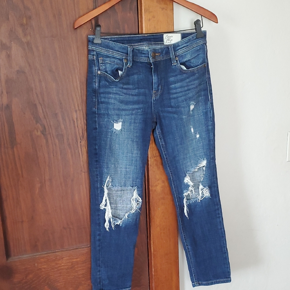 Blue Ankle Cropped Distressed Jeans